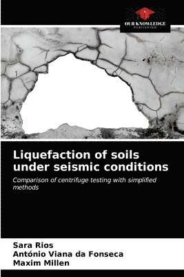 Liquefaction of soils under seismic conditions 1