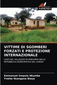 bokomslag Vittime Di Sgomberi Forzati E Protezione Internazionale