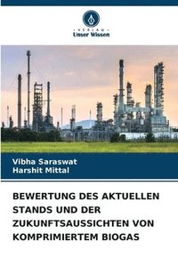 bokomslag Bewertung Des Aktuellen Stands Und Der Zukunftsaussichten Von Komprimiertem Biogas