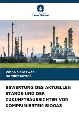 bokomslag Bewertung Des Aktuellen Stands Und Der Zukunftsaussichten Von Komprimiertem Biogas