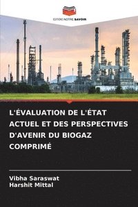 bokomslag L'Évaluation de l'État Actuel Et Des Perspectives d'Avenir Du Biogaz Comprimé