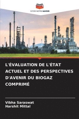 L'Évaluation de l'État Actuel Et Des Perspectives d'Avenir Du Biogaz Comprimé 1