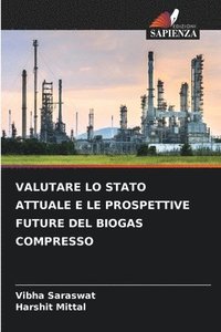 bokomslag Valutare Lo Stato Attuale E Le Prospettive Future del Biogas Compresso