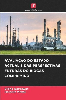 Avaliação Do Estado Actual E Das Perspectivas Futuras Do Biogás Comprimido 1