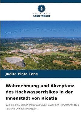 Wahrnehmung und Akzeptanz des Hochwasserrisikos in der Innenstadt von Ricatla 1