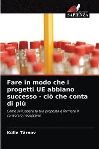 bokomslag Fare in modo che i progetti UE abbiano successo - ci che conta di pi