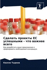 bokomslag &#1057;&#1076;&#1077;&#1083;&#1072;&#1090;&#1100; &#1087;&#1088;&#1086;&#1077;&#1082;&#1090;&#1099; &#1045;&#1057; &#1091;&#1089;&#1087;&#1077;&#1096;&#1085;&#1099;&#1084;&#1080; -