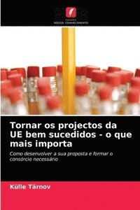 bokomslag Tornar os projectos da UE bem sucedidos - o que mais importa