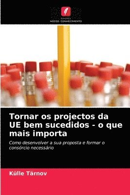 Tornar os projectos da UE bem sucedidos - o que mais importa 1