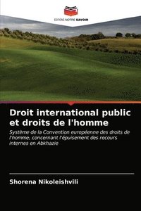 bokomslag Droit international public et droits de l'homme