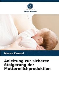bokomslag Anleitung zur sicheren Steigerung der Muttermilchproduktion
