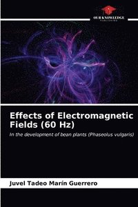 bokomslag Effects of Electromagnetic Fields (60 Hz)