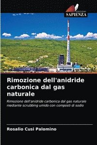 bokomslag Rimozione dell'anidride carbonica dal gas naturale