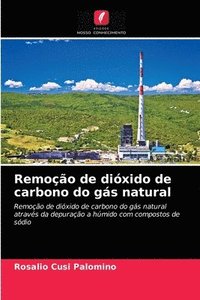 bokomslag Remoo de dixido de carbono do gs natural