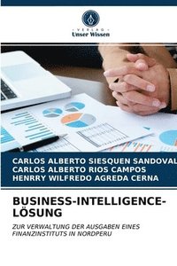 bokomslag Business-Intelligence-Loesung