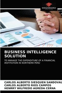 bokomslag Business Intelligence Solution