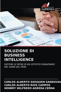 bokomslag Soluzione Di Business Intelligence