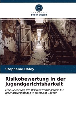 bokomslag Risikobewertung in der Jugendgerichtsbarkeit