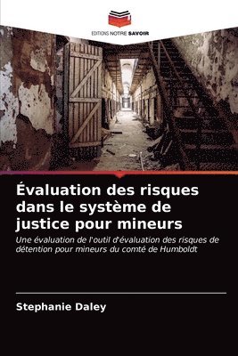 bokomslag Evaluation des risques dans le systeme de justice pour mineurs