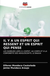 bokomslag Il Y a Un Esprit Qui Ressent Et Un Esprit Qui Pense