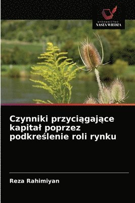 bokomslag Czynniki przyci&#261;gaj&#261;ce kapital poprzez podkre&#347;lenie roli rynku