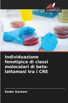 Individuazione fenotipica di classi molecolari di beta-lattamasi tra i CRE 1