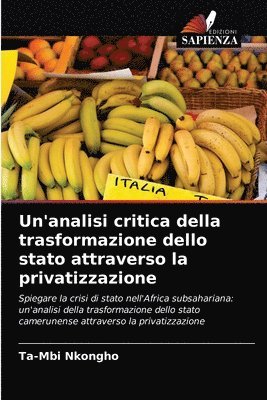 Un'analisi critica della trasformazione dello stato attraverso la privatizzazione 1