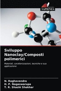 bokomslag Sviluppo Nanoclay/Composti polimerici