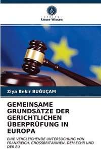 bokomslag Gemeinsame Grundstze Der Gerichtlichen berprfung in Europa