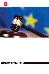 bokomslag Princpios Comuns de Reviso Judicial Na Europa