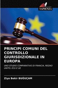 bokomslag Principi Comuni del Controllo Giurisdizionale in Europa