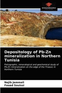 bokomslag Depositology of Pb-Zn mineralization in Northern Tunisia