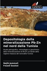 bokomslag Depositologia della mineralizzazione Pb-Zn nel nord della Tunisia