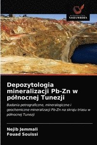 bokomslag Depozytologia mineralizacji Pb-Zn w polnocnej Tunezji