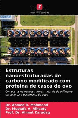 Ahmed R Mahmood, Mustafa A Alheety, Prof Ahmet Karadag, Ahmed R. Mahmood, Mustafa A. Alheety, Dr. Ahmed R. Mahmood, Dr. Mustafa A. Alheety, Ahmet Karadag - Estruturas nanoestruturadas de carbono modificado com proteína de casca de ovo, Häftad