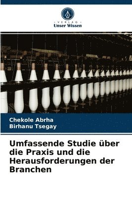 bokomslag Umfassende Studie ber die Praxis und die Herausforderungen der Branchen