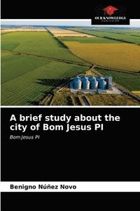 bokomslag A brief study about the city of Bom Jesus PI