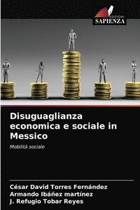 bokomslag Disuguaglianza economica e sociale in Messico