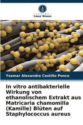 In vitro antibakterielle Wirkung von ethanolischem Extrakt aus Matricaria chamomilla (Kamille) Blten auf Staphylococcus aureus 1
