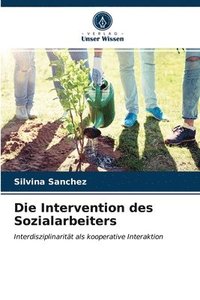 bokomslag Die Intervention des Sozialarbeiters