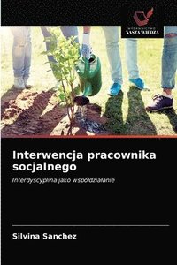 bokomslag Interwencja pracownika socjalnego