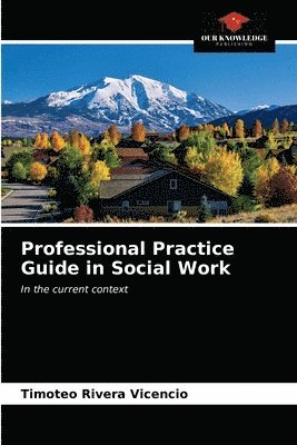 bokomslag Professional Practice Guide in Social Work