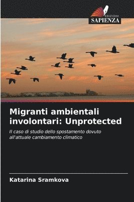 bokomslag Migranti ambientali involontari