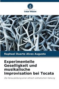 bokomslag Experimentelle Geselligkeit und musikalische Improvisation bei Tocata