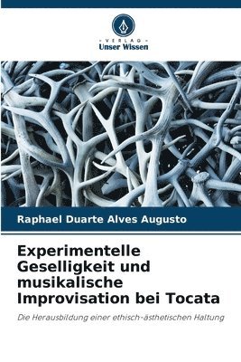 Experimentelle Geselligkeit und musikalische Improvisation bei Tocata