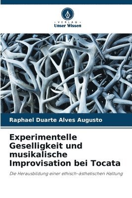 Experimentelle Geselligkeit und musikalische Improvisation bei Tocata 1