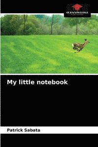 bokomslag My little notebook