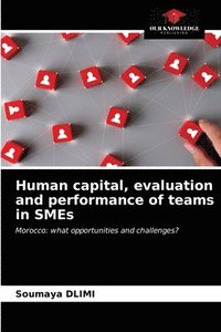 bokomslag Human capital, evaluation and performance of teams in SMEs