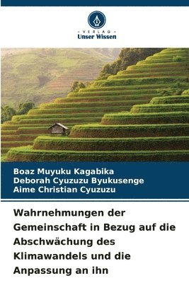 Wahrnehmungen der Gemeinschaft in Bezug auf die Abschwächung des Klimawandels und die Anpassung an ihn