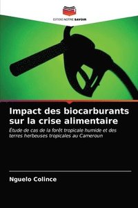 bokomslag Impact des biocarburants sur la crise alimentaire